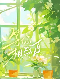 等你和盛夏