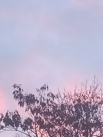 两生花之杨玉环传