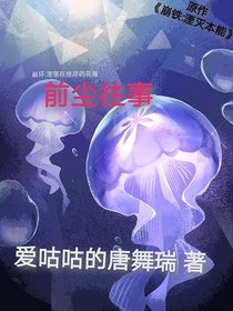 崩壞：湮落在終盡的花海——前塵往事