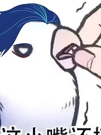 供奉殿小日常