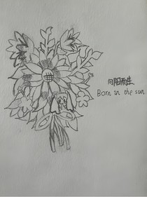 本滟的摸小鱼本
