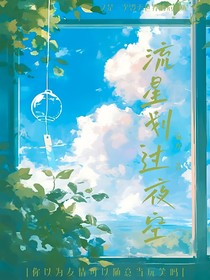 喜灰之流星划过夜空