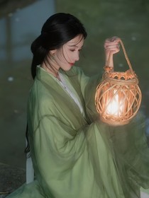 金叶归雁