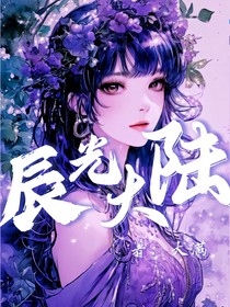 辰光大陆