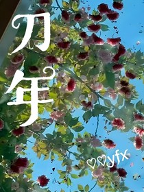 刀年