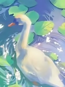 云清大陆