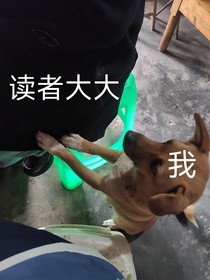 炭橘代表团生活日常