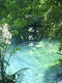 尋覓記憶碎片