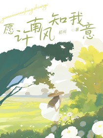 愿许南风知我意