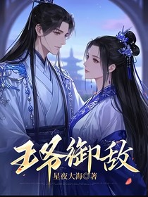 王爺御敵