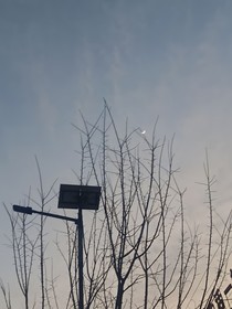 暗戀是一個人的默劇