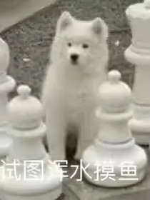 時代峰峻的崽子們
