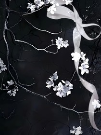 特种兵之火凤凰之茉莉花开