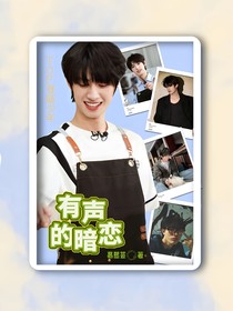 TOP登陆少年：有声的暗恋