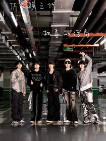 TF家族三代：故事的结局