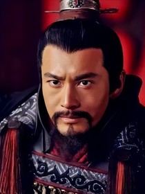 精忠岳飞后传（我对赵家人和秦桧的复仇）