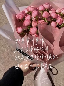 七月星辰