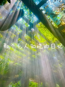 这个无人知晓的日记
