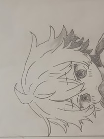 双星了无音讯