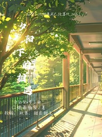夕阳下的相遇相识