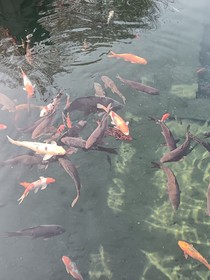 致高三