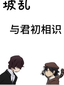 坡乱：与君初相识