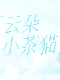 云朵小茶猫铺子