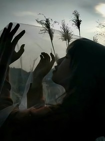 如果这个世界是假的