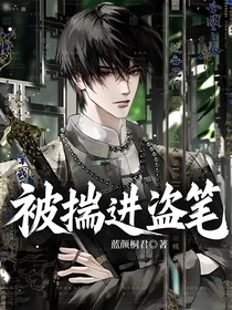 被揣进盗笔