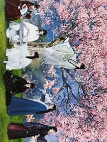 神界驯养师