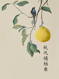 秋风橘柚垂