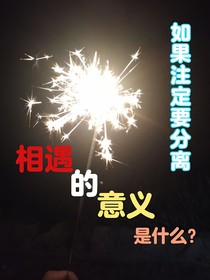 相遇的意義是什么？