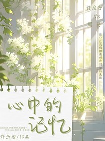 心中的记忆上