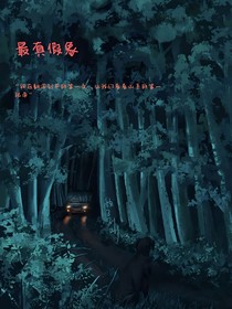 最真假象