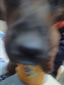 修仙之路，