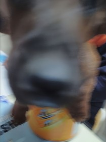 重生之我成了女主的恶毒妈妈