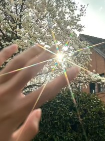 最好的家人