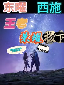 王者：荣耀稷下（东曜西施）