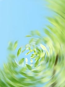 落于初夏