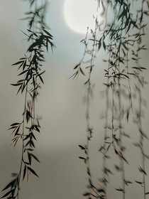 我暗戀著一個女孩