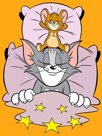 猫鼠校园日常生活