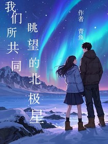 我们所共同眺望的北极星