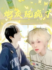 炮灰玩瘋了