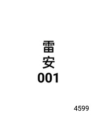 雷安001
