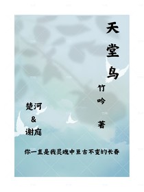 浮光月吟