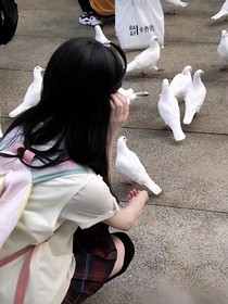頭像和背景圖