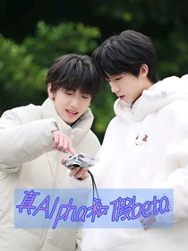 奇文：真Alpha和假Beta