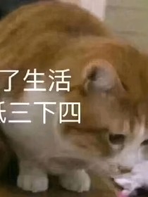 谁创造的学校！！！