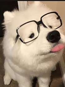 望远山