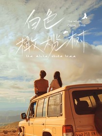 白色橄榄树：起风了